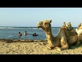 Download Bereket Mengisteab - Milena / ሚሌና - New Eritrean Music Video 2017 (Official Music Video) In Mp4 3Gp Full HD Video