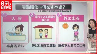 【解説】夏本番前…今から始める暑さ対策「暑熱順化」とは？  エアコン試運転呼びかけも『知りたいッ！』