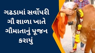 Gadhada|| શહેરમાં શ્રી સર્વોપરી ગૌશાળા ખાતે ગૌમાતા નું પૂજન કાર્યક્રમ યોજાયો #news #gaumata #cow