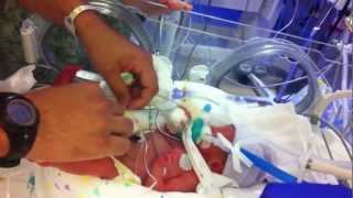 Cooper S Diaper Change Avi