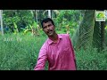 എള്ള് കൃഷിയും വിളവെടുപ്പും sesame farming kerala