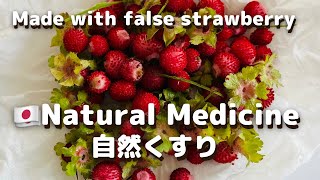 Natural Medicine   (An ointment for insect bits）ヘビいちごで作る虫刺され薬