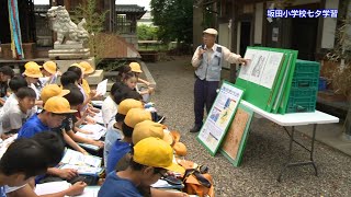 伊吹山テレビ2024年7月5日号