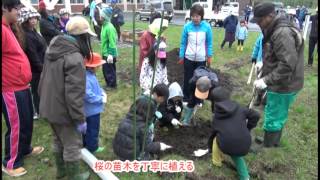 ﾄﾏﾑ小中学校で桜植樹会