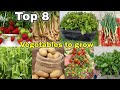 Top 8 vegetables we can grow at home / Garden || The one page [English cc]