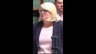 MP Karen Andrews breaks down in powerful domestic violence speech