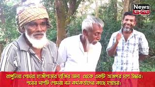 রাঙ্গুনিয়া পোমরা হাজীপাড়ার হাজির ডালা থেকে একটি অজগর।