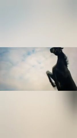 Horses Edit Youtube