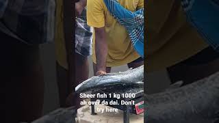 என்ன FOOD டா இது ? ? Sheer fish 1kg 1000 ah ??? Over da dai   #shorts #DrDelicious