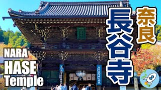 【奈良 長谷寺】断崖絶壁に舞台があった！三九九段の登廊を登りきると！奈良大和路　花の御寺　奈良観光nara hase shrine