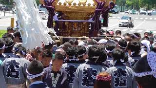 2018年　四谷須賀神社例大祭宮神輿巡幸（本塩町1）