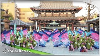 【4K】我夢写楽｜ぞっこん町田'98（かわさき大師よさこい’15ベストパフォーマンス賞 奉納演舞）[Yosakoi]