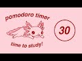 pomodoro timer 3x30 ♡ this axolotl is cheering for you (Pomodoro Playlist)