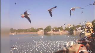 Lakhota Fort Surrounded by Ranmal Lake - The Heart of Jamnagar City of Gujarat