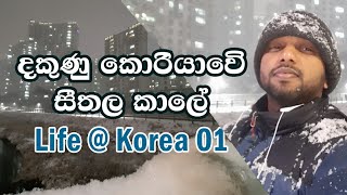 සීතල කොරියාව|හිම වැටෙනකොට වෙන අමුතු දේවල්|Life in Korea vlog - 01