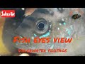 Underwater footage of my tank, a fish eyes view.