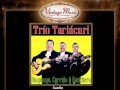 trio tariacuri sueño huapango