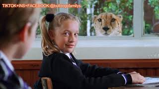 ANIMAL MOVIES CLIP 1:A leopard raised by a boy, it has always protected the boy