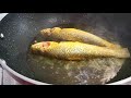 bhangor macchher patla jhol jhinge alu diye grey mullet fish with ridge gourd and potato ভাঙ্গর মাছ