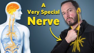 This ONE nerve can impact YOUR chronic pain, digestion, mood and more!
