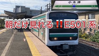 常磐線　【朝の小木津駅発着集‼️】8時台