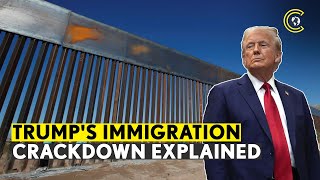 Donald Trump’s Crackdown on Illegal Immigration VISUALISED | What’s at Stake for the US? | CLRCUT