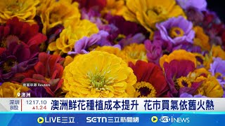 澳洲鮮花種植成本提升 花市買氣依舊火熱 與法國在地花農合作 鮮花可吃.可當調味料│記者 蔡孟廷｜國際關鍵字20250214│三立iNEWS