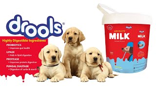 Drools Absolute Milk for Newborn Puppies, 500 gm