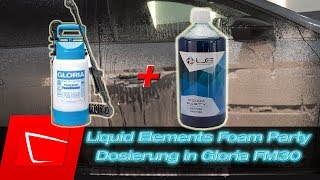 Liquid Elements Party Foam beste Dosierung in Gloria FM30 Schaumsprüher Test Communitywunsch