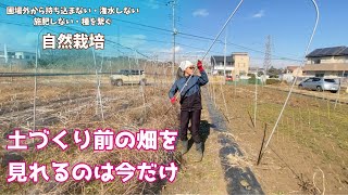 夏の果菜類の#土づくりに入る前の圃場 の様子・きゅうりアーチ片付け【夏野菜の片付け③】