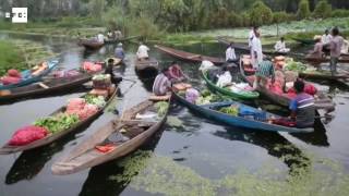 Los vegetales de temporada salvan a Cachemira de una crisis alimentaria