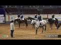 2022 farnam aqha and adequan select world senior hunter under saddle