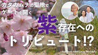 ∞ 字幕推奨 ∞「カタカムナの聖地でゲートを開く」金鳥山ゼロ磁場・保久良神社｜お金のいらない世界を目指しませんか？