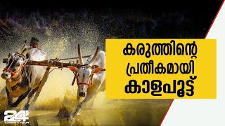 കർഷക ജനതയുടെ കരുത്തിന്റെ പ്രതീകമായ കാളപൂട്ട് മത്സരത്തിന്റെ വിശേഷങ്ങൾ