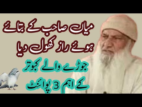 Kabutar Ka Joda Lagane Ka Asan Tareeka Youtube