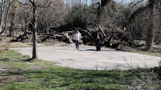 Padre Park Food Forest Project Aims to Connect San Antonio Urban Residents With Nature