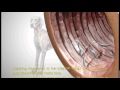 Hookworm and Roundworms Hookworm and Roundworms