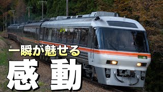 【鉄道写真】ステンレス車両キハ85と紅葉が魅せる最高峰の輝き。