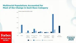 Census: U.S. More Racially Diverse, Percentage Of Americans Self-Identifying As Mixed-Race Surges