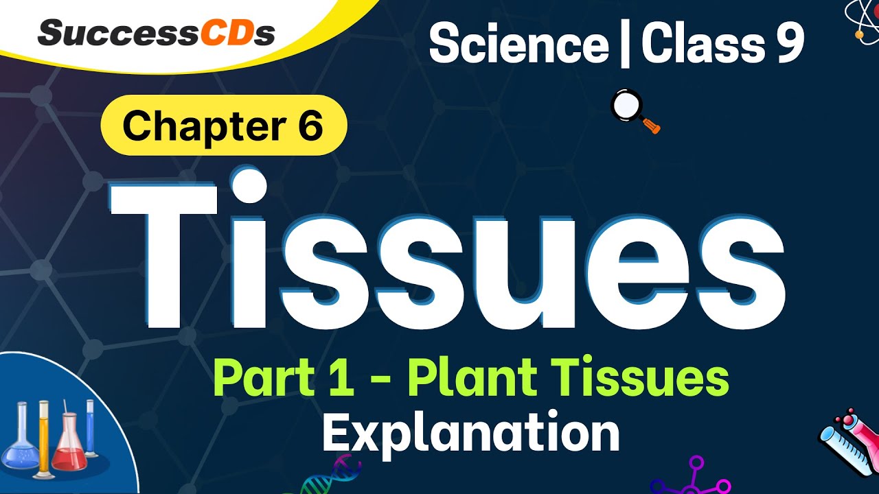 Class 9 Science Tissues Part 1 - Plant Tissue Chapter 6 Explanation ...