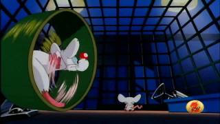 Mignolo col Prof. - Pinky and the Brain