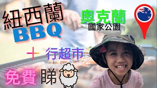 紐西蘭🇳🇿移民生活 New Zealand Life｜奧克蘭自駕遊｜奧克蘭國家公園BBQ + 睇羊咩咩🐑｜行紐西蘭最大超市