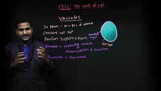 CBSE XI LESSON 08 CELL THE UNIT OF LIFE VACUOLES PART 10 | BRAINBOX SCHOOL