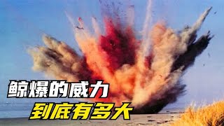 鲸鱼爆炸的威力有多强大？真实记录1970年美国“炸鲸”事件。