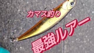 加太に住み加太を楽しむ釣り初心者！めでたい電車カマスー