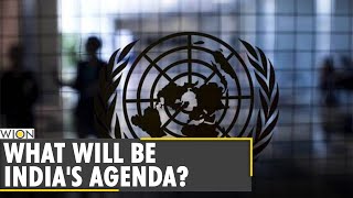 India begins 2-year stint at UNSC: What values will guide India's approach?