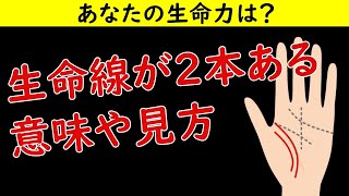 【手相占い】生命線が2本ある意味