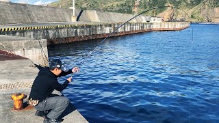 世界一楽しい釣り（個人の感想）