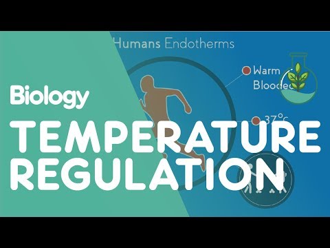 Does your body temp rise when it’s cold?