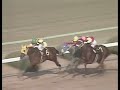 タマモクロス 1988年 第36回阪神大賞典 gii 優勝馬：タマモクロス、ダイナカーペンター同着 実況：民放版